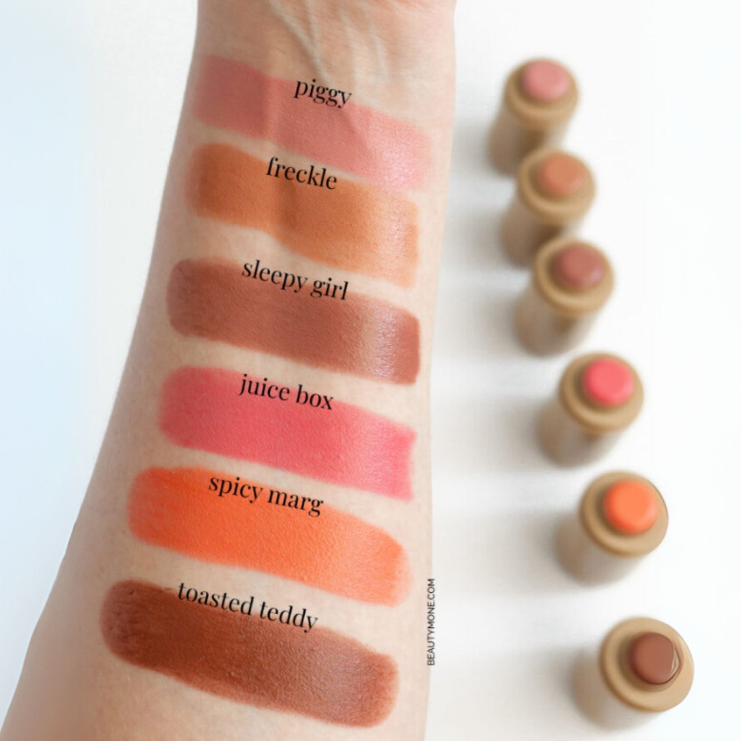 RHODE Pocket Blush Stick Set – 6 Colors