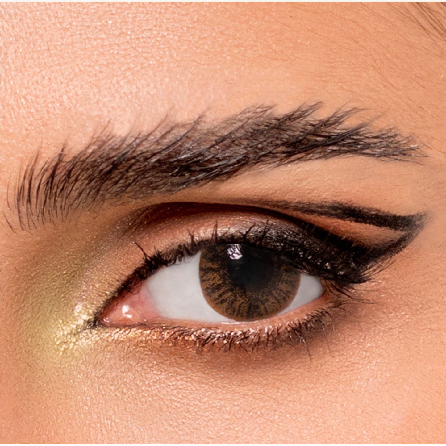 Basic Brown lenses